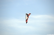 EUROCUP STACK 2011 CERVIA00162